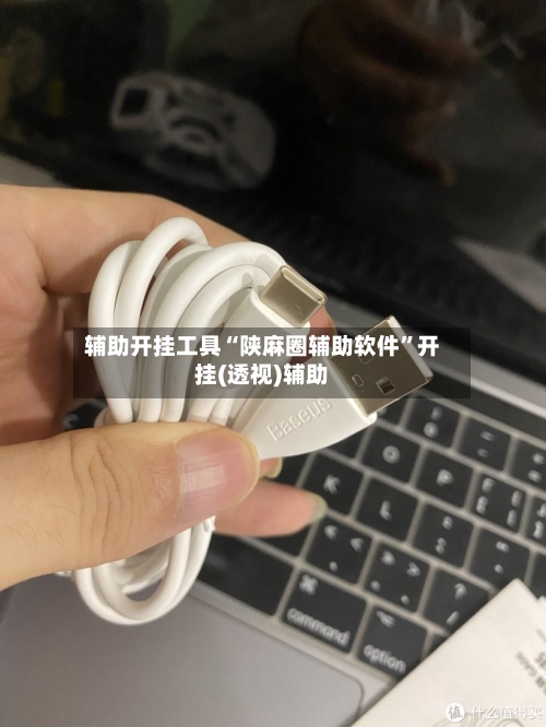 辅助开挂工具“陕麻圈辅助软件”开挂(透视)辅助-第3张图片