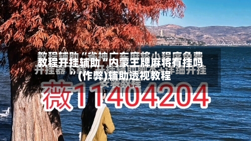 教程开挂辅助“内蒙王牌麻将有挂吗”(作弊)辅助透视教程-第2张图片