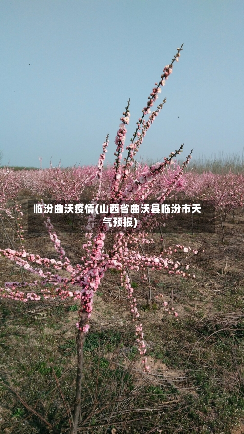 临汾曲沃疫情(山西省曲沃县临汾市天气预报)-第2张图片