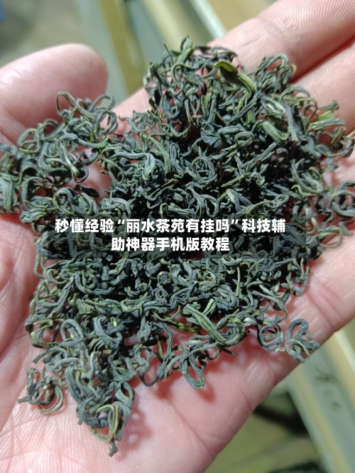 秒懂经验“丽水茶苑有挂吗”科技辅助神器手机版教程-第2张图片