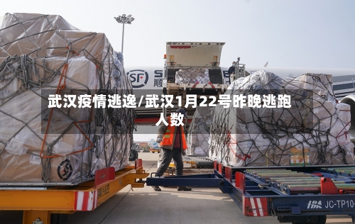 武汉疫情逃逸/武汉1月22号昨晚逃跑人数-第1张图片