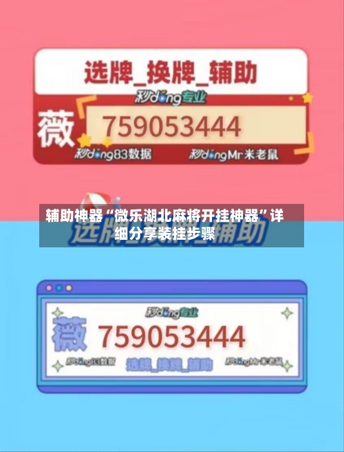 辅助神器“微乐湖北麻将开挂神器”详细分享装挂步骤