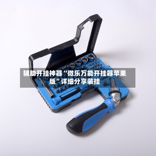 辅助开挂神器“微乐万能开挂器苹果版”详细分享装挂