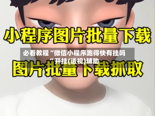 必看教程“微信小程序跑得快有挂吗”开挂(透视)辅助-第2张图片