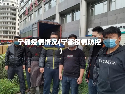 宁都疫情情况(宁都疫情防控)