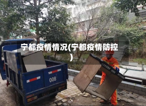 宁都疫情情况(宁都疫情防控)-第2张图片
