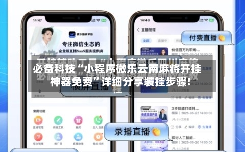 必备科技“小程序微乐云南麻将开挂神器免费”详细分享装挂步骤!-第2张图片
