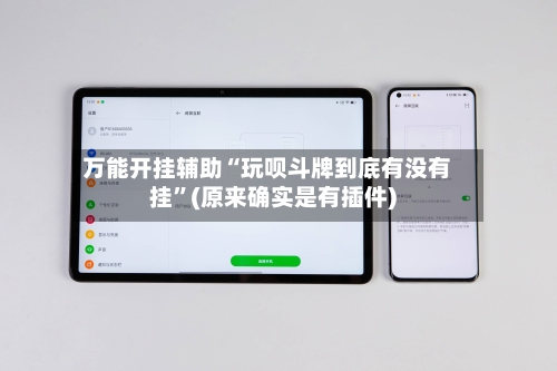 万能开挂辅助“玩呗斗牌到底有没有挂”(原来确实是有插件)-第1张图片