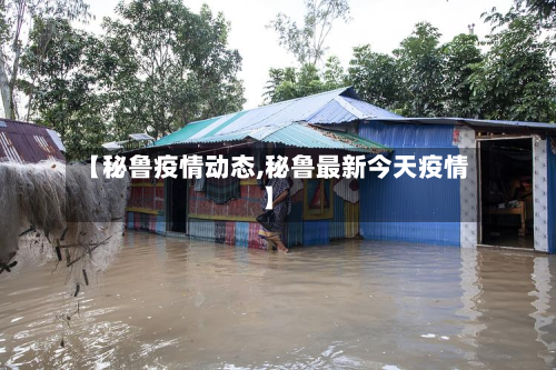 【秘鲁疫情动态,秘鲁最新今天疫情】