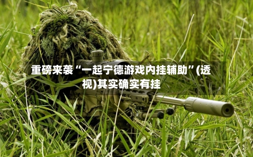 重磅来袭“一起宁德游戏内挂辅助”(透视)其实确实有挂-第2张图片