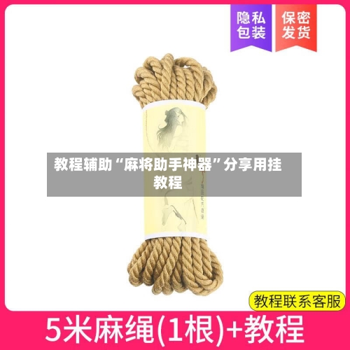 教程辅助“麻将助手神器”分享用挂教程-第3张图片