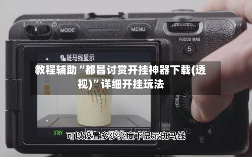 教程辅助“都昌讨赏开挂神器下载(透视)	”详细开挂玩法-第1张图片