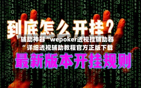辅助神器“wepoker透视挂辅助器”详细透视辅助教程官方正版下载-第2张图片