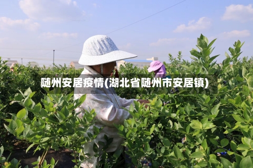 随州安居疫情(湖北省随州市安居镇)