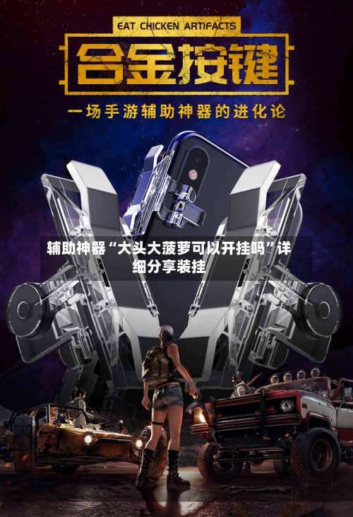 辅助神器“大头大菠萝可以开挂吗	”详细分享装挂-第3张图片