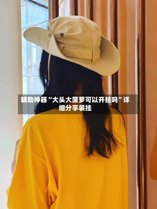 辅助神器“大头大菠萝可以开挂吗”详细分享装挂-第1张图片