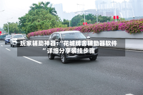 玩家辅助神器:“花城牌舍辅助器软件	”详细分享装挂步骤-第2张图片