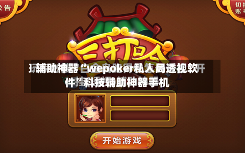 辅助神器“wepoker私人局透视软件”科技辅助神器手机-第3张图片