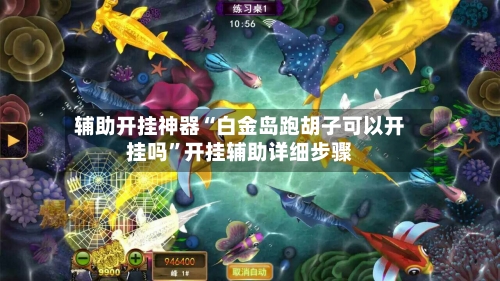 辅助开挂神器“白金岛跑胡子可以开挂吗	”开挂辅助详细步骤-第2张图片