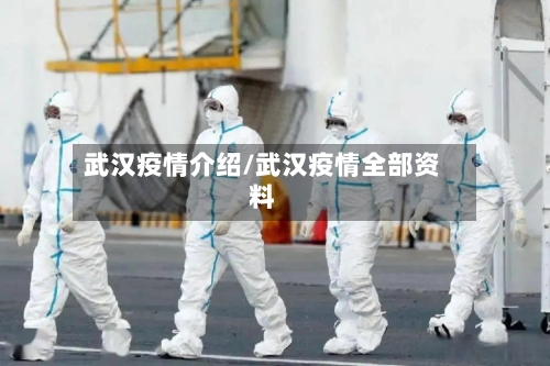 武汉疫情介绍/武汉疫情全部资料-第3张图片
