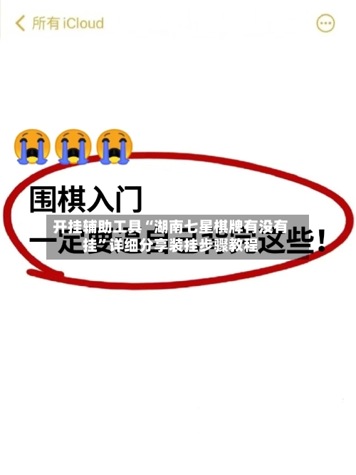 开挂辅助工具“湖南七星棋牌有没有挂”详细分享装挂步骤教程