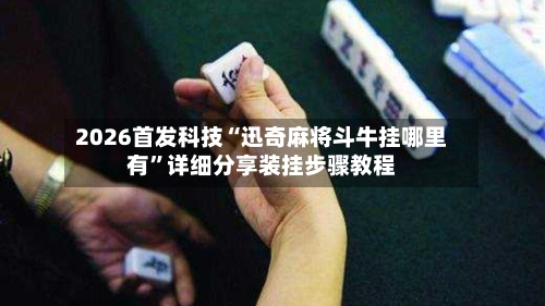 2026首发科技“迅奇麻将斗牛挂哪里有”详细分享装挂步骤教程-第2张图片