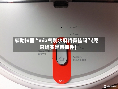 辅助神器“mia气划水麻将有挂吗”(原来确实是有插件)-第3张图片