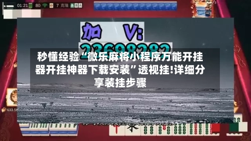 秒懂经验“微乐麻将小程序万能开挂器开挂神器下载安装	”透视挂!详细分享装挂步骤-第2张图片