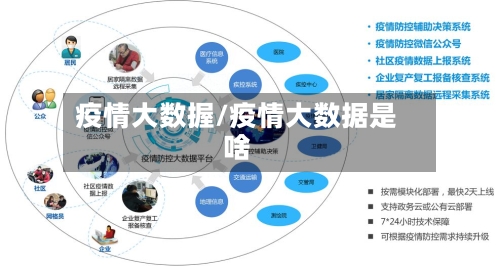 疫情大数握/疫情大数据是啥-第3张图片