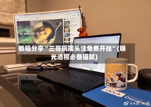 教程分享“三哥玩摆头注免费开挂”(曝光透视必备猫腻)-第3张图片