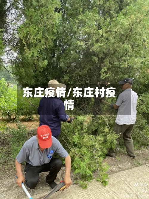 东庄疫情/东庄村疫情-第3张图片