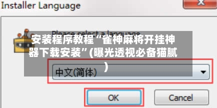 安装程序教程“雀神麻将开挂神器下载安装”(曝光透视必备猫腻)-第3张图片