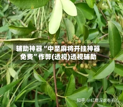 辅助神器“中至麻将开挂神器免费”作弊(透视)透视辅助-第2张图片