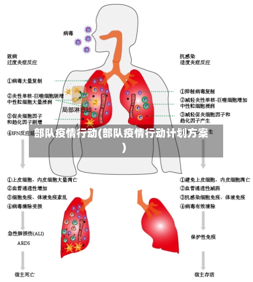 部队疫情行动(部队疫情行动计划方案)-第3张图片