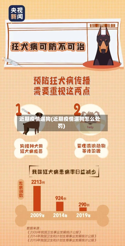 近期疫情遛狗(近期疫情遛狗怎么处罚)-第1张图片