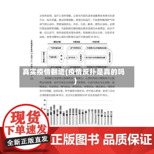 真实疫情翻墙(疫情反扑是真的吗)-第2张图片