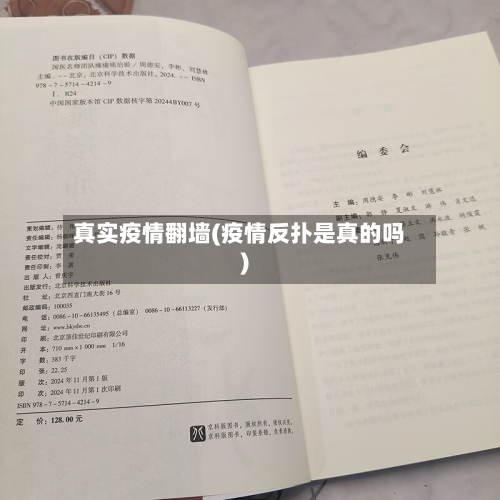 真实疫情翻墙(疫情反扑是真的吗)-第3张图片