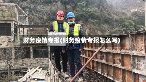 财务疫情专报(财务疫情专报怎么写)-第2张图片