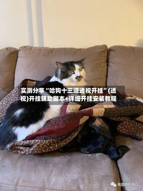 实测分享“哈狗十三道透视开挂”(透视)开挂辅助脚本+详细开挂安装教程-第2张图片