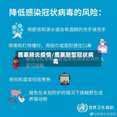 鹿寨肺炎疫情/鹿寨新型冠状病毒