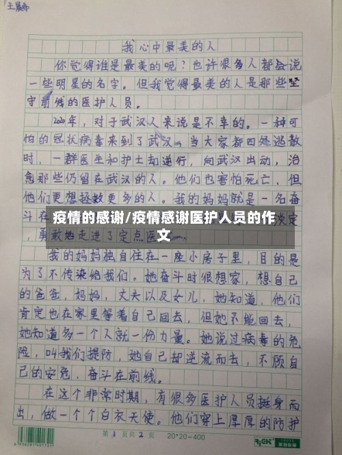 疫情的感谢/疫情感谢医护人员的作文-第3张图片