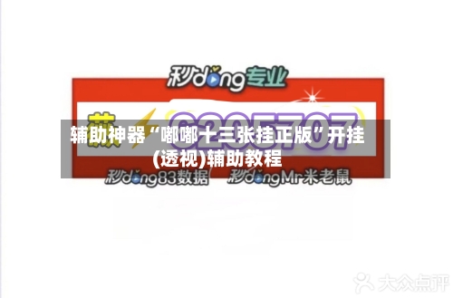 辅助神器“嘟嘟十三张挂正版	”开挂(透视)辅助教程-第1张图片