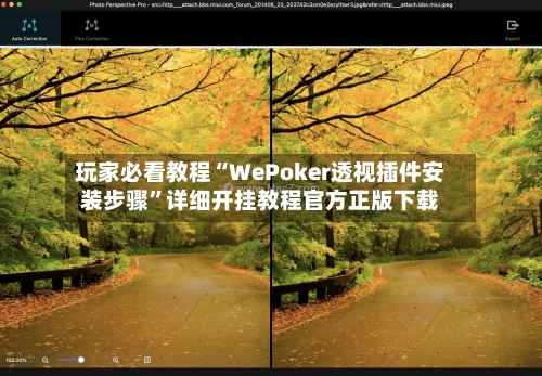 玩家必看教程“WePoker透视插件安装步骤”详细开挂教程官方正版下载-第1张图片