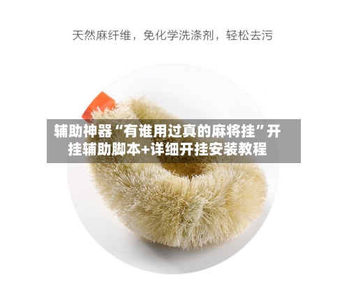 辅助神器“有谁用过真的麻将挂”开挂辅助脚本+详细开挂安装教程-第2张图片