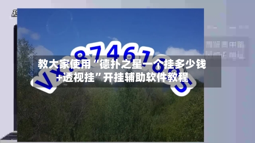 教大家使用“德扑之星一个挂多少钱+透视挂”开挂辅助软件教程-第3张图片