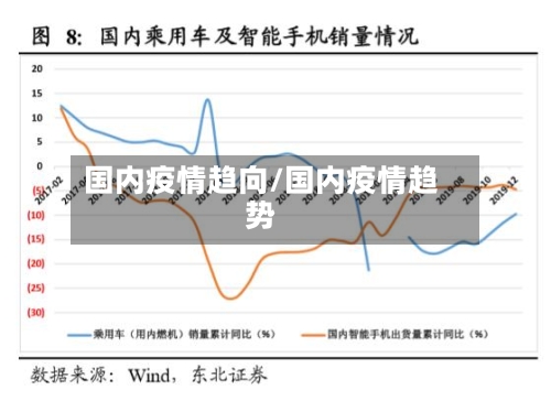 国内疫情趋向/国内疫情趋势-第2张图片