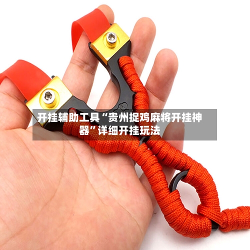 开挂辅助工具“贵州捉鸡麻将开挂神器”详细开挂玩法-第2张图片