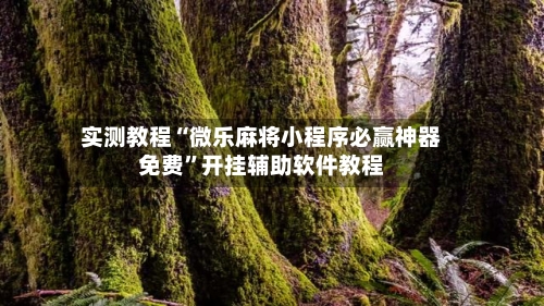 实测教程“微乐麻将小程序必赢神器免费”开挂辅助软件教程-第1张图片