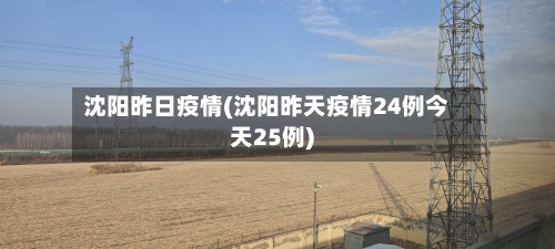 沈阳昨日疫情(沈阳昨天疫情24例今天25例)-第1张图片