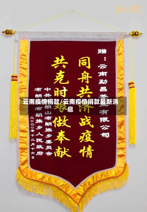 云南疫情捐款/云南疫情捐款最新消息